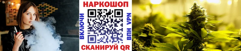 Галлюциногенные грибы Кола