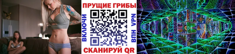 Псилоцибиновые грибы MAGIC MUSHROOMS  kraken маркетплейс  Кола  где купить наркоту 